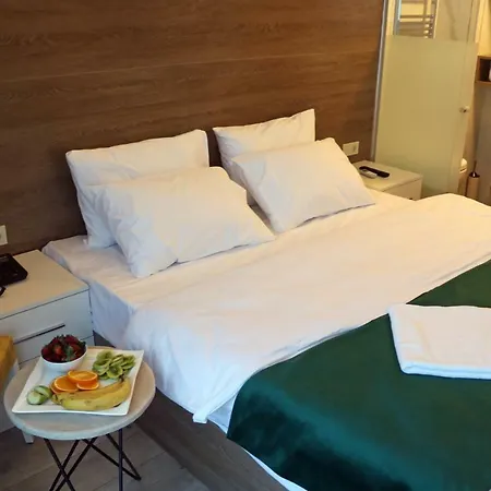 Hotel Musk 2*